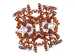 1oyn: Crystal structure of PDE4D2 in complex with (R,S)-rolipram