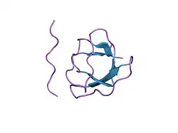 1prm: TWO BINDING ORIENTATIONS FOR PEPTIDES TO SRC SH3 DOMAIN: DEVELOPMENT OF A GENERAL MODEL FOR SH3-LIGAND INTERACTIONS