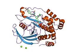 1pxh: Crystal structure of protein tyrosine phosphatase 1B with potent and selective bidentate inhibitor compound 2