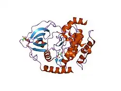 1q62: PKA double mutant model of PKB
