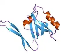 1qau: UNEXPECTED MODES OF PDZ DOMAIN SCAFFOLDING REVEALED BY STRUCTURE OF NNOS-SYNTROPHIN COMPLEX