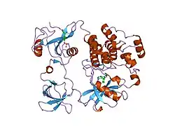 1qcf: CRYSTAL STRUCTURE OF HCK IN COMPLEX WITH A SRC FAMILY-SELECTIVE TYROSINE KINASE INHIBITOR