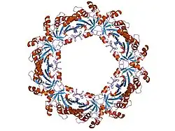 1qmv: THIOREDOXIN PEROXIDASE B FROM RED BLOOD CELLS