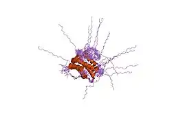 1r3b: Solution structure of xenopus laevis Mob1