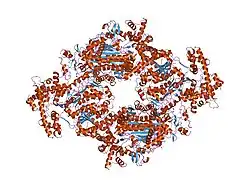 1r4m: APPBP1-UBA3-NEDD8, an E1-ubiquitin-like protein complex