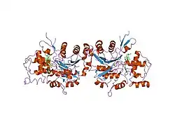 1rfq: Actin Crystal Dynamics: Structural Implications for F-actin Nucleation, Polymerization and Branching Mediated by the Anti-parallel Dimer