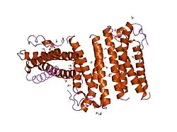 1rhg: THE STRUCTURE OF GRANULOCYTE-COLONY-STIMULATING FACTOR AND ITS RELATIONSHIP TO THOSE OF OTHER GROWTH FACTORS