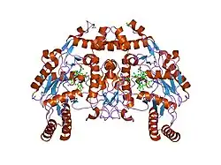 1rs8: Bovine endothelial NOS heme domain with D-lysine-D-nitroarginine amide bound