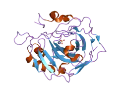 1th9: Effect of Shuttle Location and pH Environment on H+ Transfer in Human Carbonic Anhydrase II