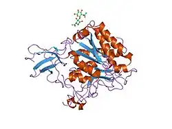1uwy: CRYSTAL STRUCTURE OF HUMAN CARBOXYPEPTIDASE M