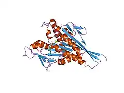 1vfz: Crystal Structure of the Kif1A Motor Domain Complexed With ADP-Mg-VO4