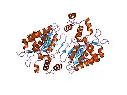 1w2c: HUMAN INOSITOL (1,4,5) TRISPHOSPHATE 3-KINASE COMPLEXED WITH MN2+/AMPPNP/INS(1,4,5)P3