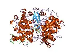 1w6k: STRUCTURE OF HUMAN OSC IN COMPLEX WITH LANOSTEROL