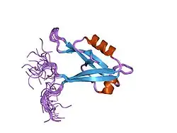 1wf8: Solution structure of the PDZ domain of Spinophilin/NeurabinII protein