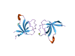 1wyx: The Crystal Structure of the p130Cas SH3 Domain at 1.1 A Resolution
