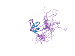 1x69: Solution structures of the SH3 domain of human Src substrate cortactin