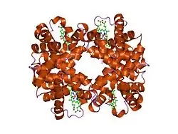 1yev: T-To-T(High) quaternary transitions in human hemoglobin: betaW37E OXY (10 test sets)