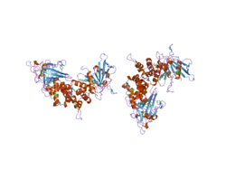 1ygu: Crystal structure of the tandem phosphatase domains of RPTP CD45 with a pTyr peptide