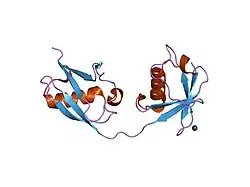1z2m: Crystal Structure of ISG15, the Interferon-Induced Ubiquitin Cross Reactive Protein