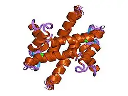 1zfs: Solution structure of S100A1 bound to calcium