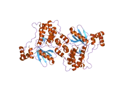 1zmw: Catalytic and ubiquitin-associated domains of MARK2/PAR-1: T208A/S212A inactive double mutant