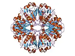 1znq: Crsytal Structure of Human Liver GAPDH
