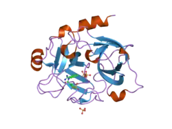 1zrk: Factor XI complexed with 3-hydroxypropyl 3-(7-amidinonaphthalene-1-carboxamido)benzenesulfonate