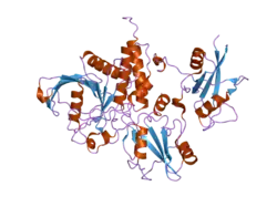 2b3o: Crystal structure of human tyrosine phosphatase SHP-1