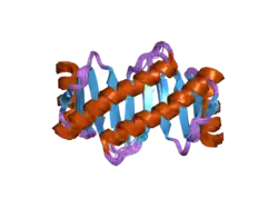 2b95: Solution NMR structure of protein dynein light chain 2A, cytoplasmic; Northeast structural genomics consortium TARGET HR2106
