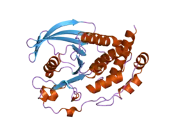 2bij: CRYSTAL STRUCTURE OF THE HUMAN PROTEIN TYROSINE PHOSPHATASE PTPN5 (STEP, STRIATUM ENRICHED ENRICHED PHOSPHATASE)