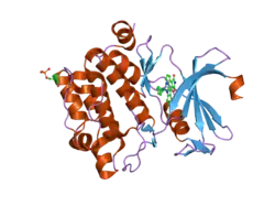 2bzi: CRYSTAL STRUCTURE OF THE HUMAN PIM1 IN COMPLEX WITH A RUTHENIUM ORGANOMETALLIC LIGAND RU2