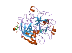 2c8z: THROMBIN INHIBITORS