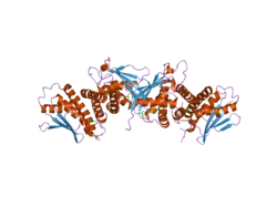 2cfh: STRUCTURE OF THE BET3-TPC6B CORE OF TRAPP