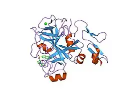 2cji: CRYSTAL STRUCTURE OF A HUMAN FACTOR XA INHIBITOR COMPLEX