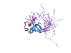 2cqo: Solution structure of the S1 RNA binding domain of human hypothetical protein FLJ11067