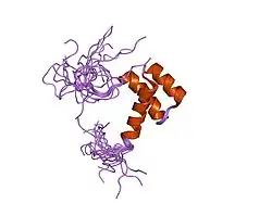 2cra: Solution structure of the homeobox domain of human homeo box B13