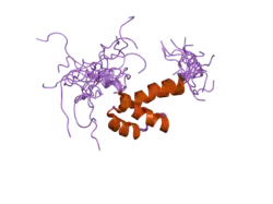 2da1: Solution structure of the first homeobox domain of AT-binding transcription factor 1 (ATBF1)