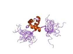 2dim: Solution structure of the Myb_DNA-binding domain of human Cell division cycle 5-like protein