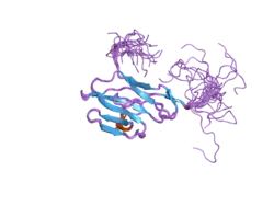 2dks: Solution structure of the first IG-like domain of human carcinoembryonic antigen related cell adhesion molecule 8