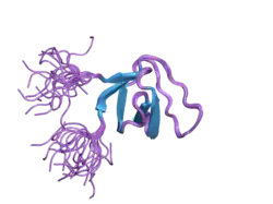 2dl3: Solution structure of the first SH3 domain of human sorbin and Sh3 domain-containing protein 1