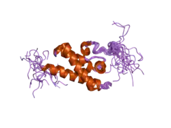 2dme: Solution structure of the TFIIS domain II of human PHD finger protein 3