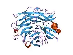 2f0z: Crystal Structure of the Human Sialidase Neu2 in Complex with Zanamivir inhibitor