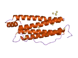 2fg4: Structure of Human Ferritin L Chain