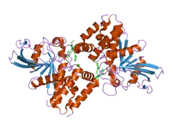 2fjn: The structure of phosphotyrosine phosphatase 1B in complex with compound 2