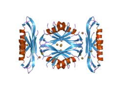 2fk3: Structure of the Alzheimer's Amyloid Precursor Protein (APP) Copper Binding Domain in 'large unit cell' form