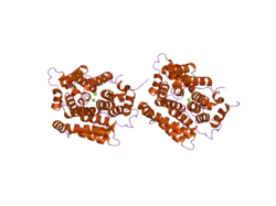 2fp0: human ADP-ribosylhydrolase 3