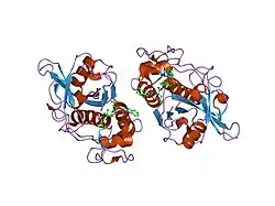 2ftd: Crystal structure of Cathepsin K complexed with 7-Methyl-Substituted Azepan-3-one compound