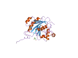 2fya: Crystal structure of the catalytic domain of the human beta1, 4-galactosyltransferase mutant M339H complex with manganese