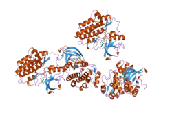 2g1t: A Src-like Inactive Conformation in the Abl Tyrosine Kinase Domain