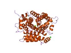 2g4k: Anomalous substructure of human ADP-ribosylhydrolase 3